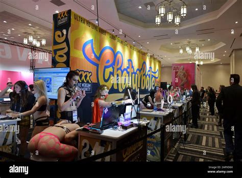 porn conventions|20 Best Porn Conventions